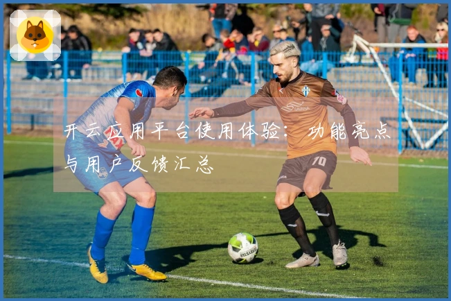 开云应用平台使用体验：功能亮点与用户反馈汇总