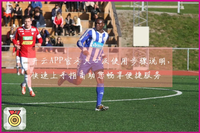 开云APP官方入口及使用步骤说明，快速上手指南助您畅享便捷服务