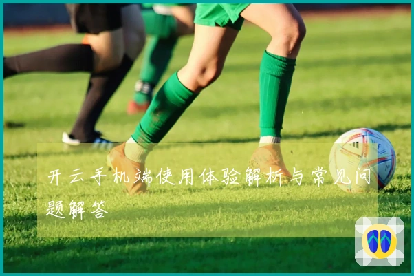 开云手机端使用体验解析与常见问题解答