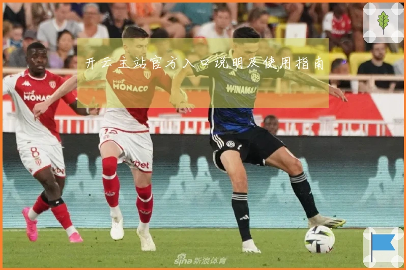 开云主站官方入口说明及使用指南